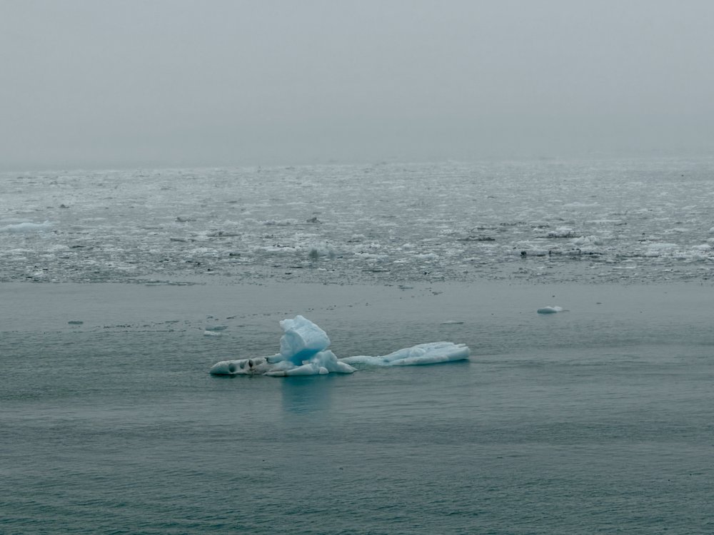 Alaska