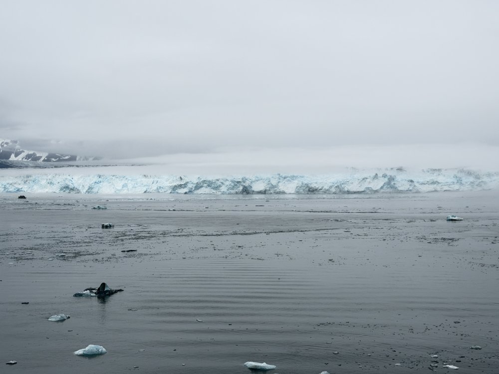 Alaska