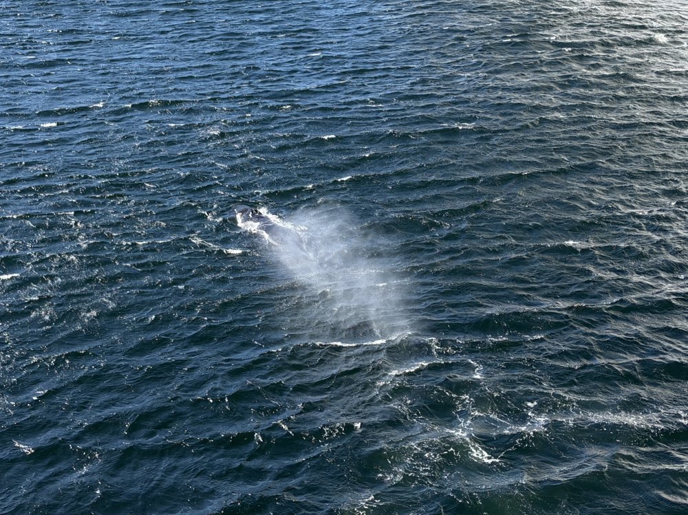 Alaska