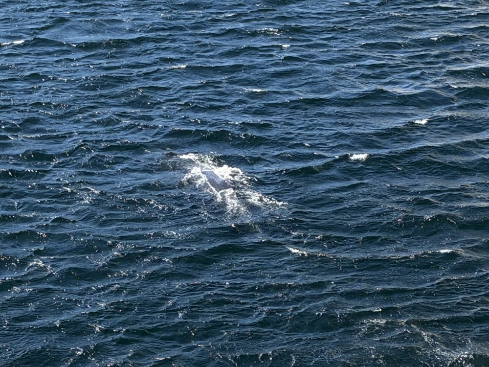 Alaska
