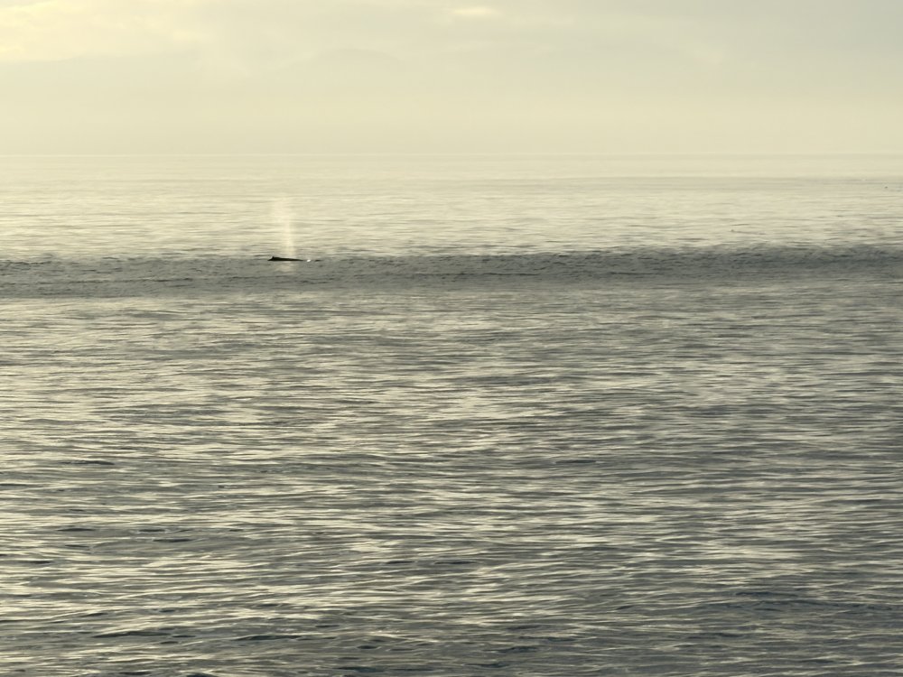 Alaska