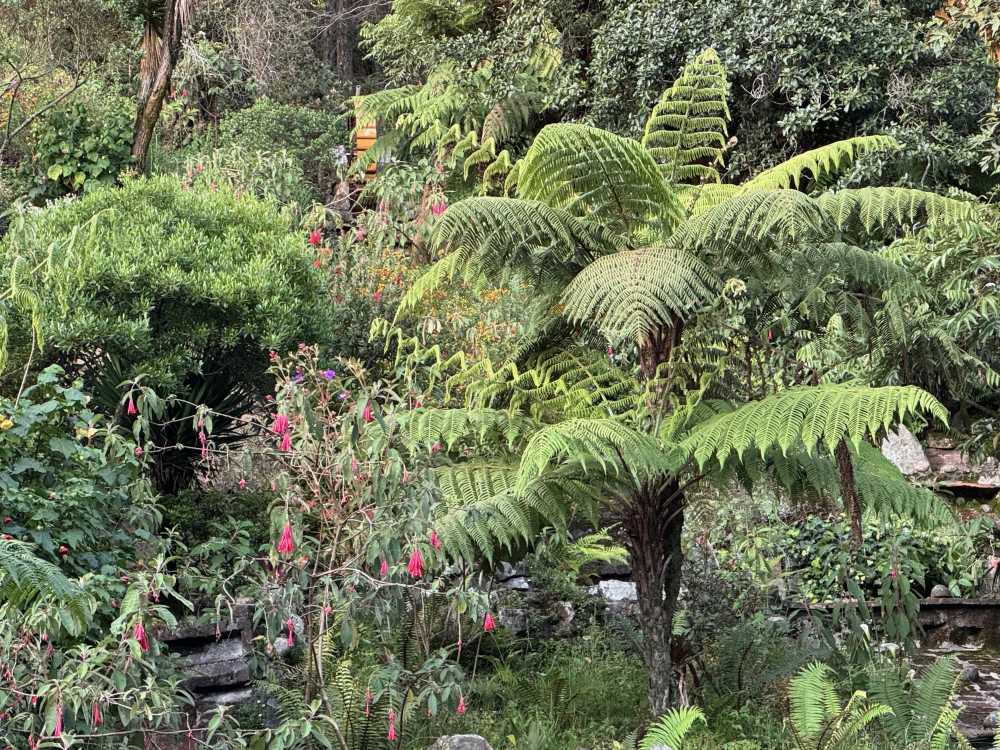 Bogota