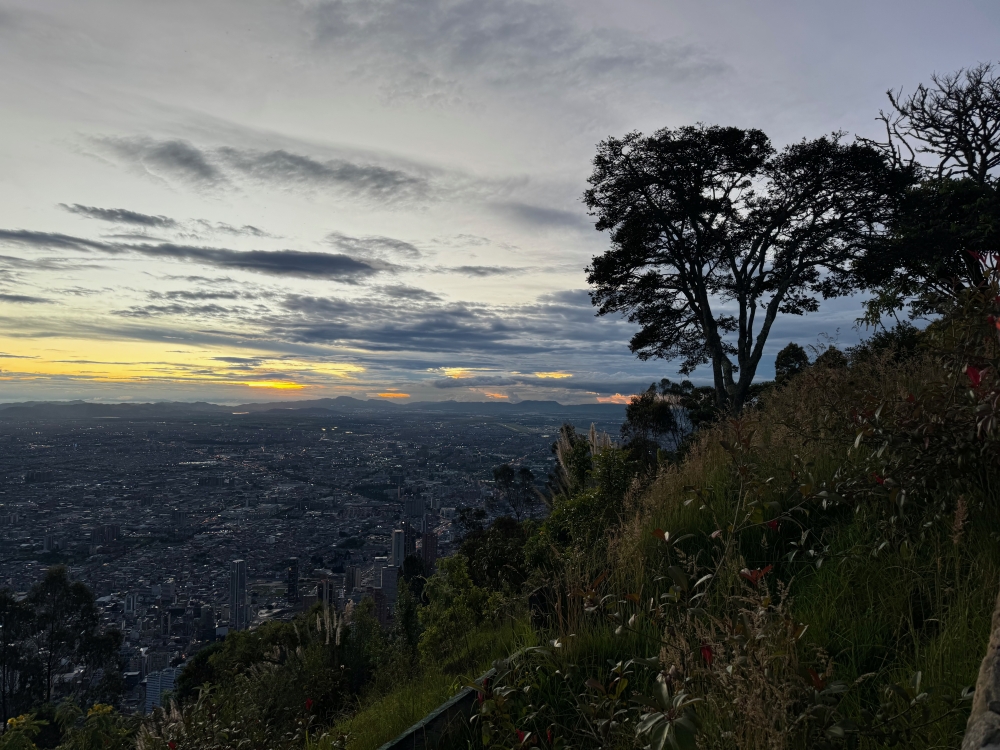 Bogota
