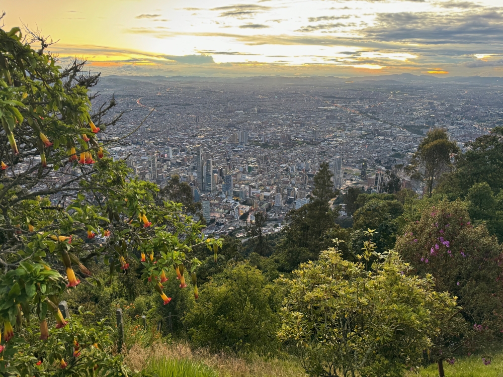 Bogota