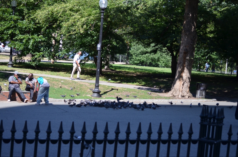 Boston