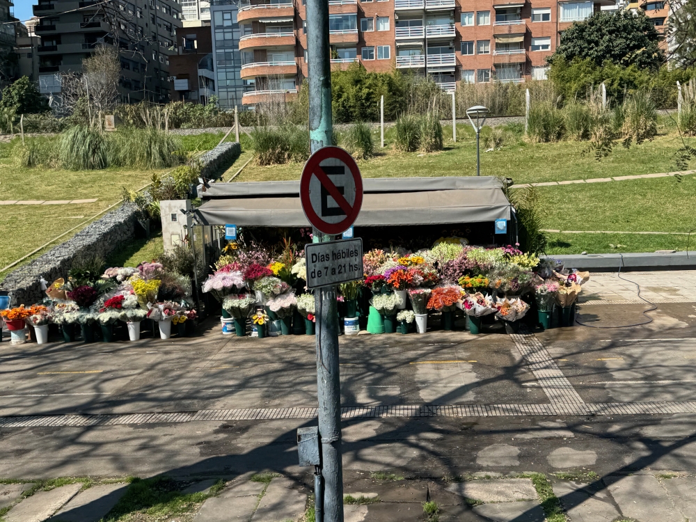 Buenos Aries