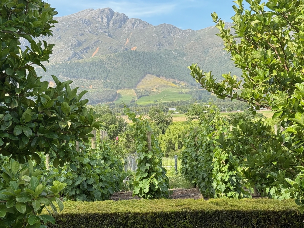 Franschhoek
