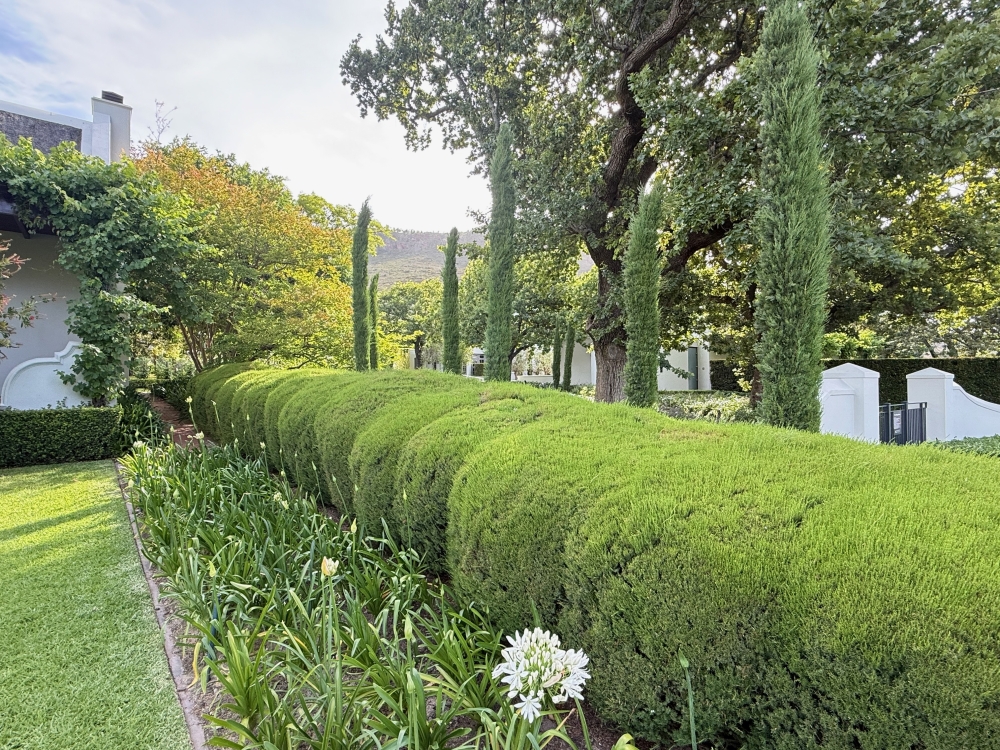 Franschhoek