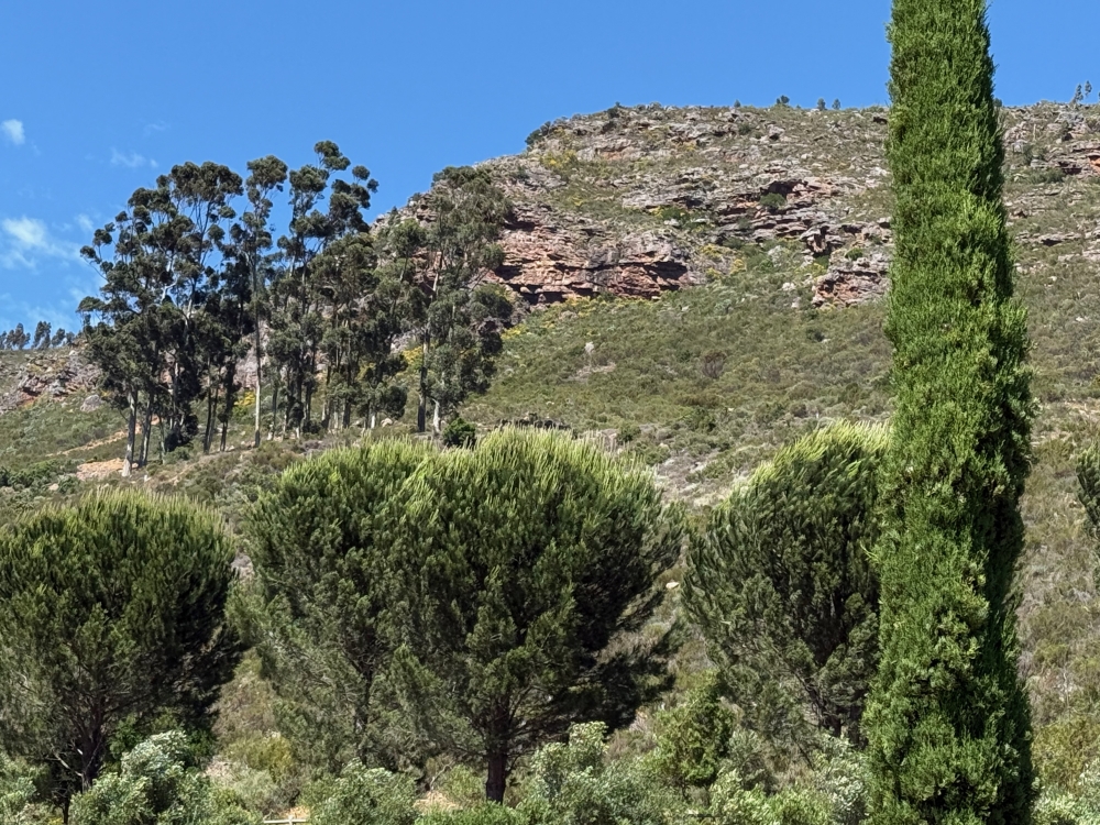 Franschhoek