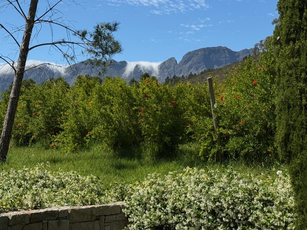 Franschhoek