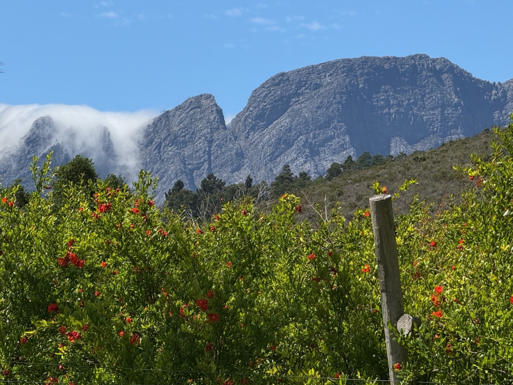 Franschhoek