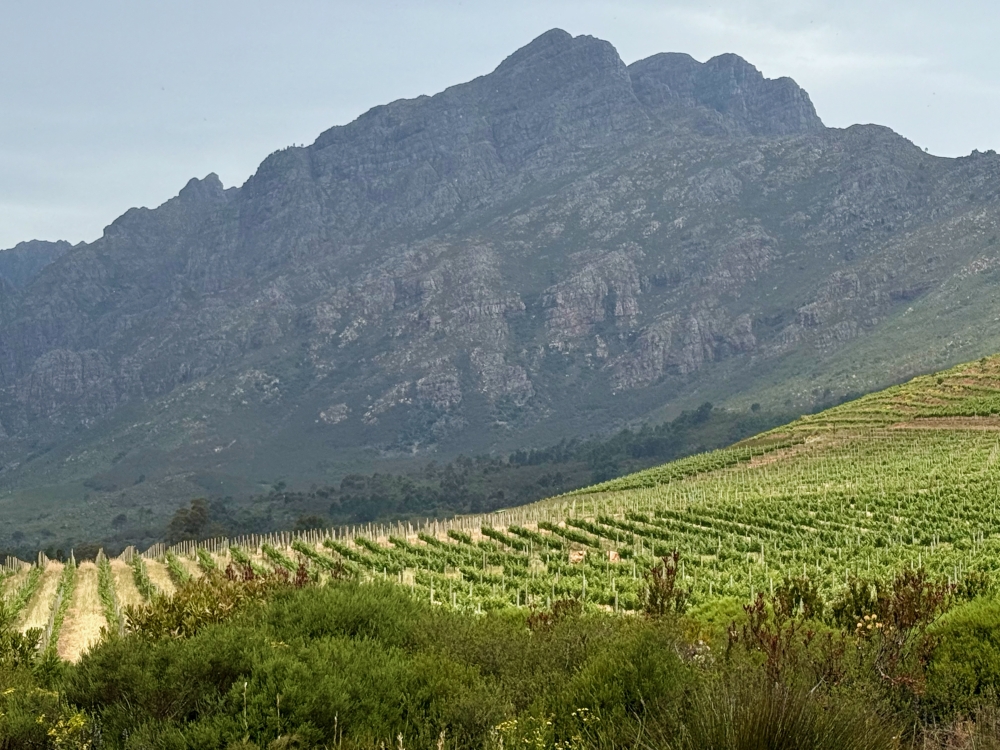 Franschhoek