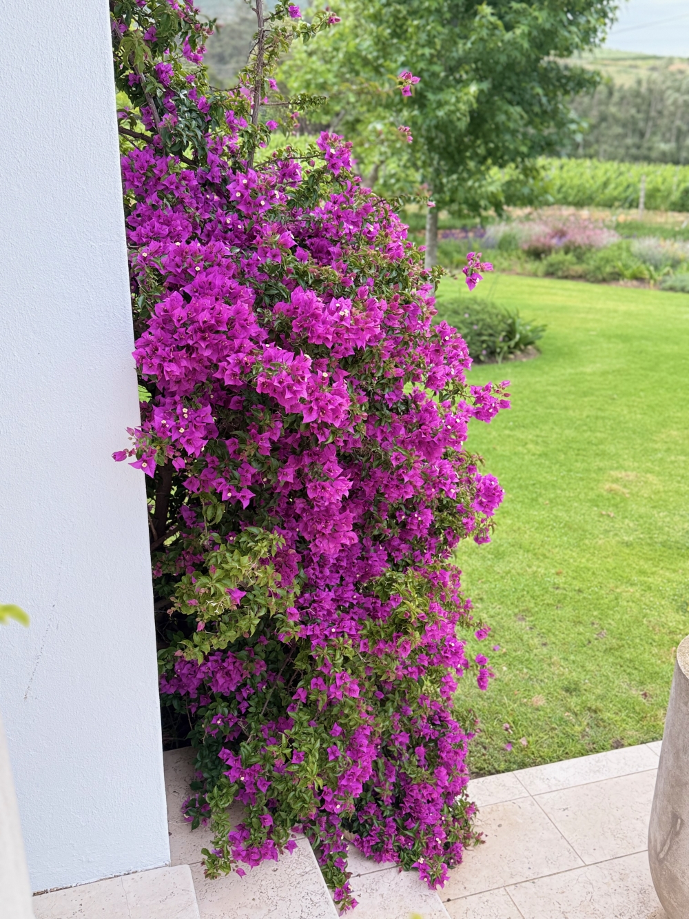 Franschhoek