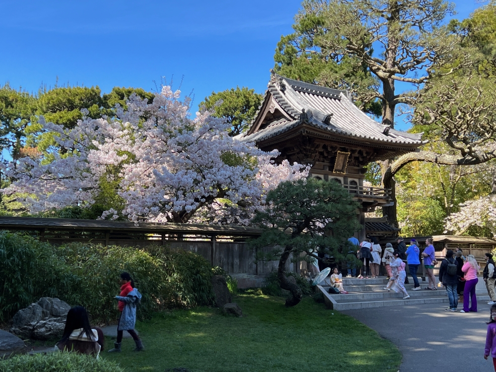 Golden Gate Park Tea Garden