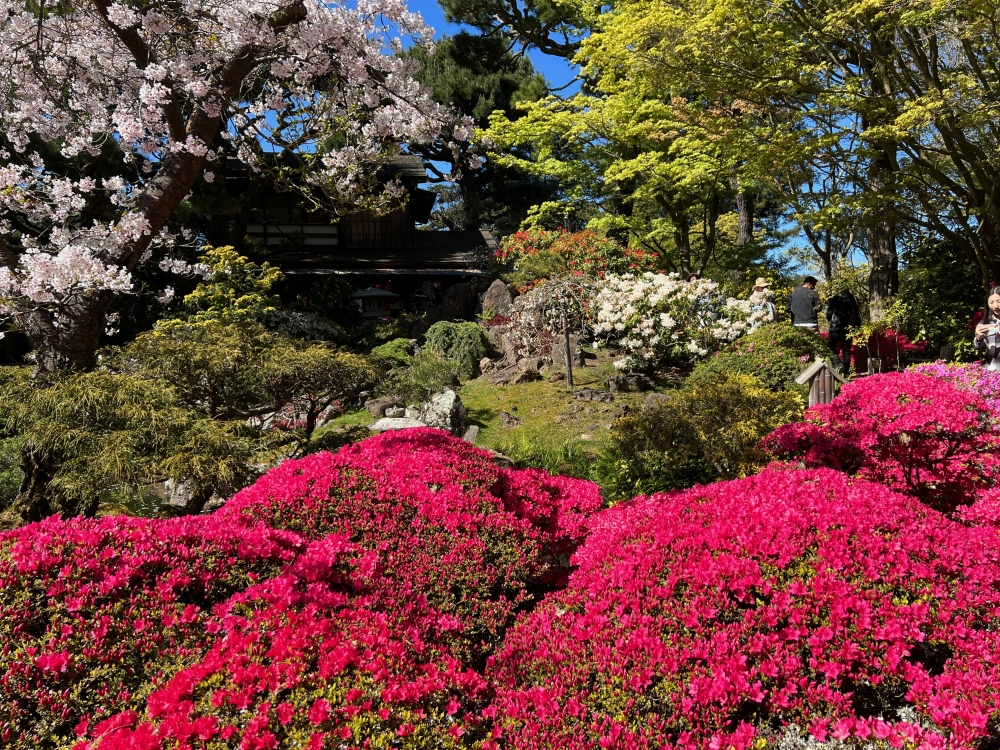 Golden Gate Park Tea Garden