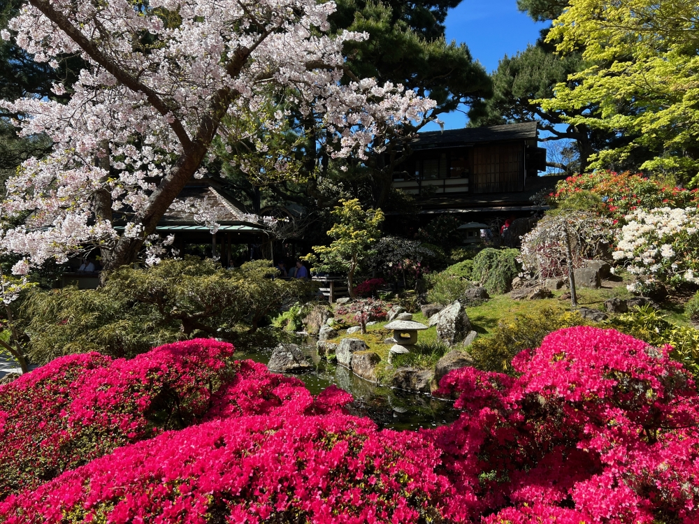 Golden Gate Park Tea Garden