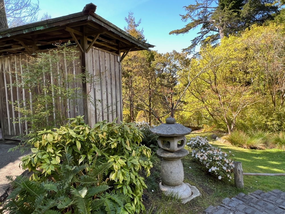 Golden Gate Park Tea Garden