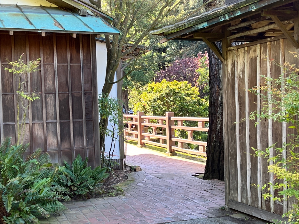 Golden Gate Park Tea Garden