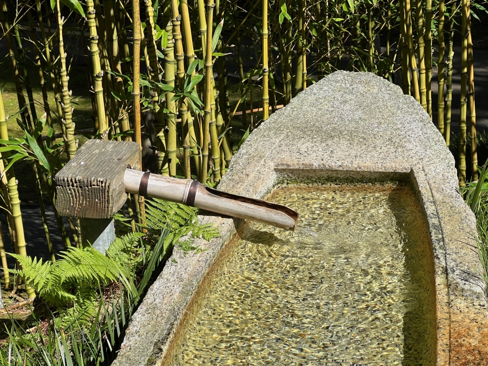 Golden Gate Park Tea Garden