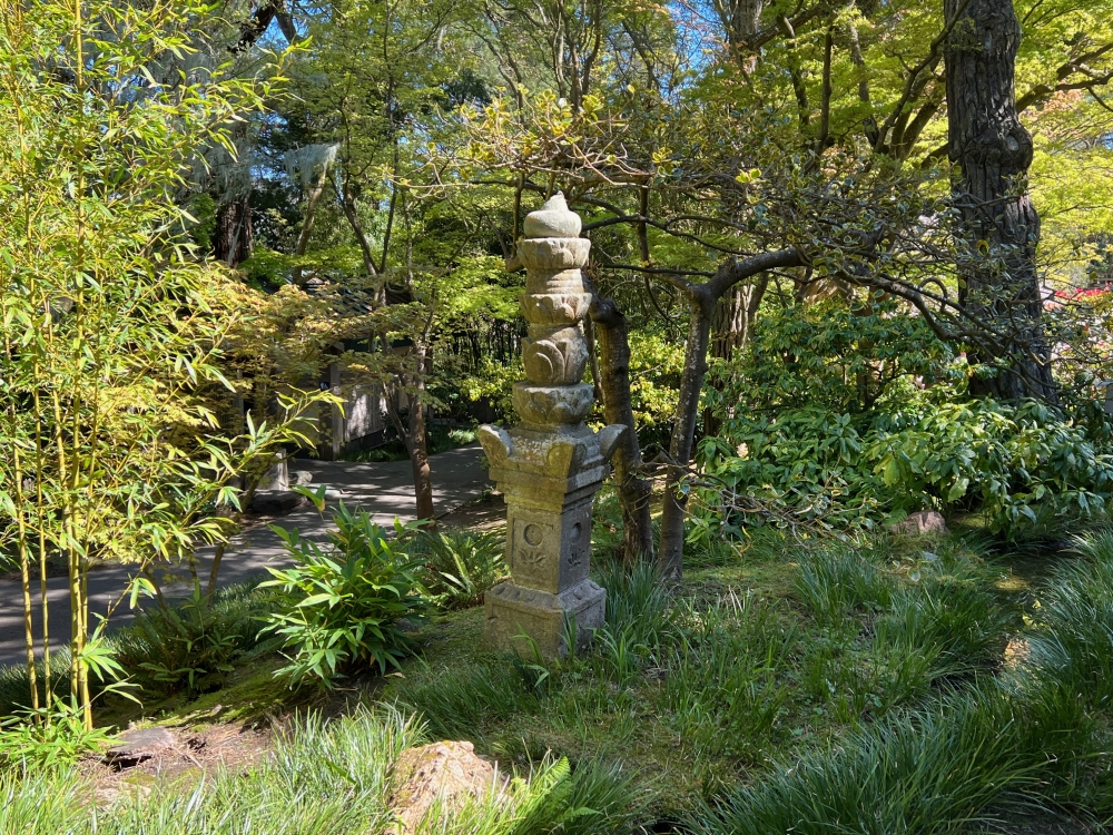 Golden Gate Park Tea Garden