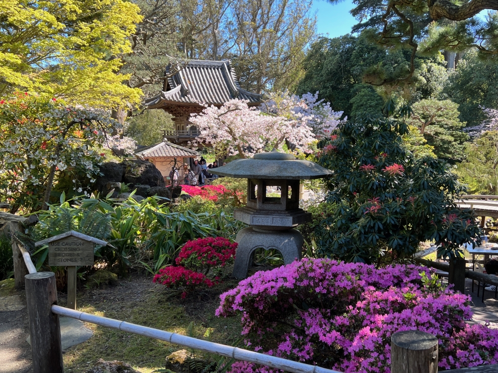 Golden Gate Park Tea Garden