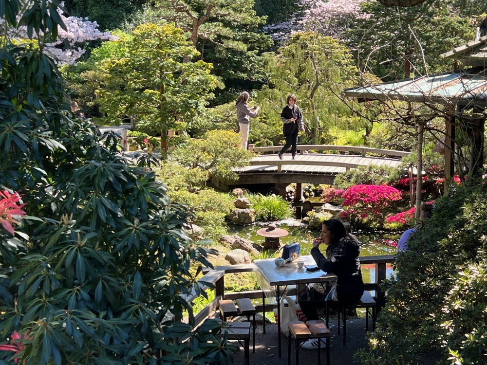 Golden Gate Park Tea Garden