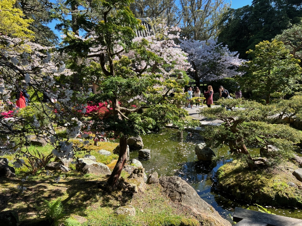 Golden Gate Park Tea Garden
