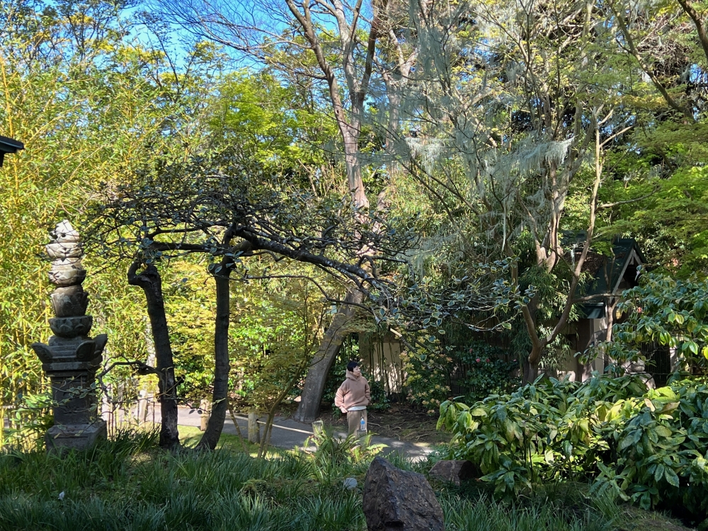Golden Gate Park Tea Garden