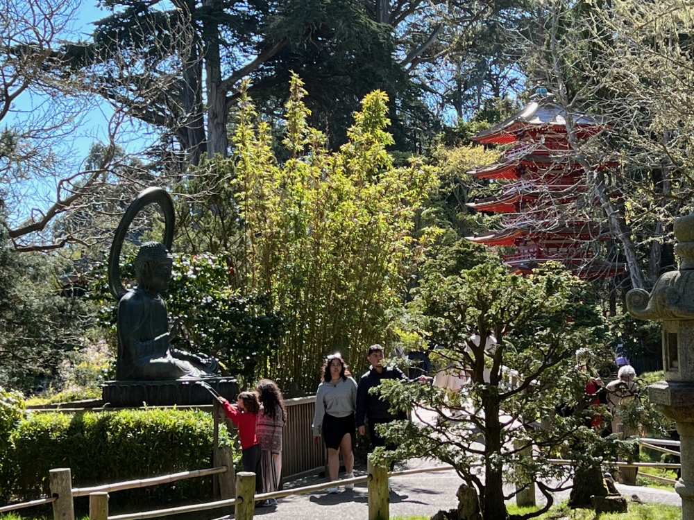 Golden Gate Park Tea Garden