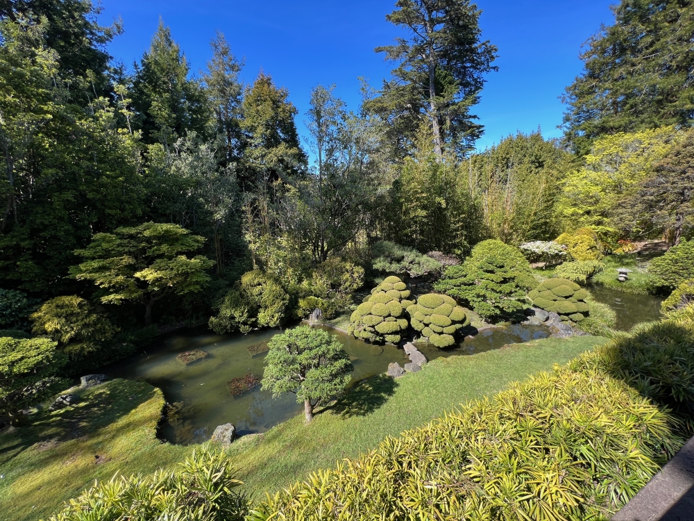 Golden Gate Park Tea Garden