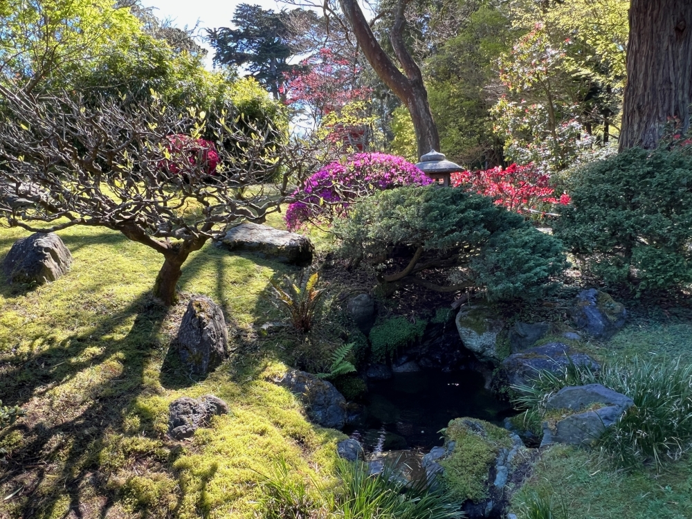 Golden Gate Park Tea Garden
