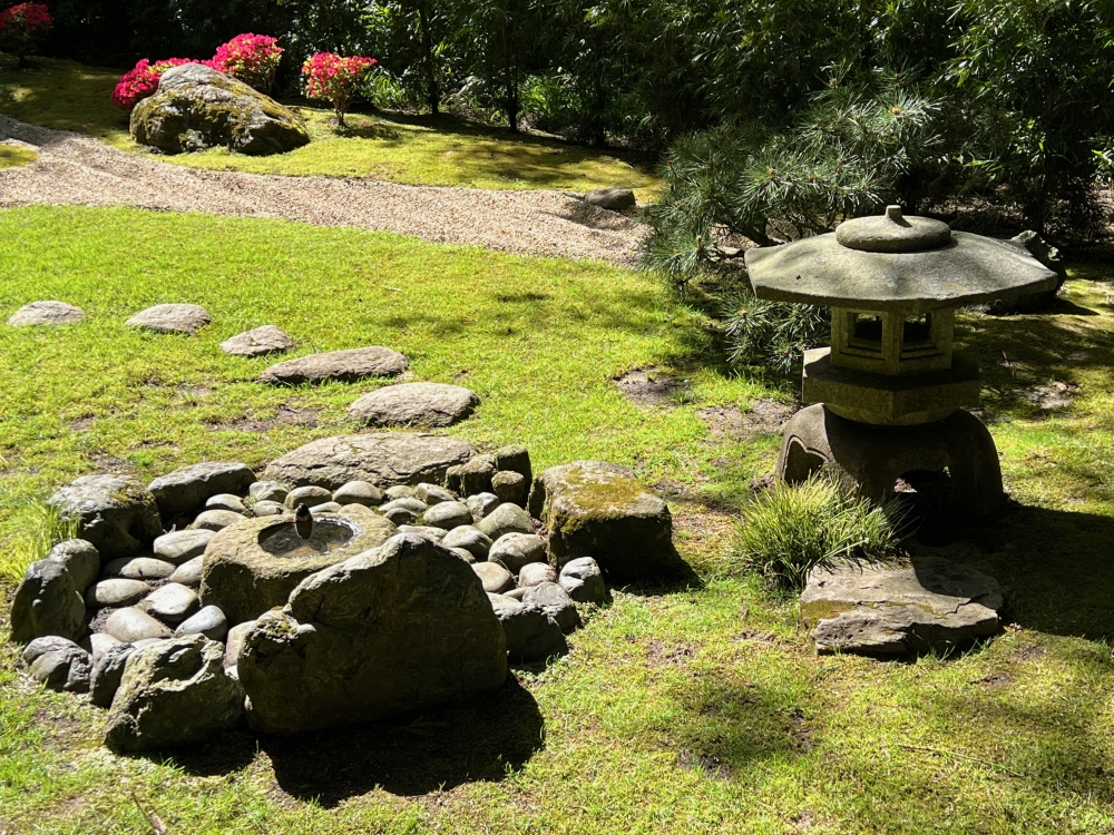 Golden Gate Park Tea Garden