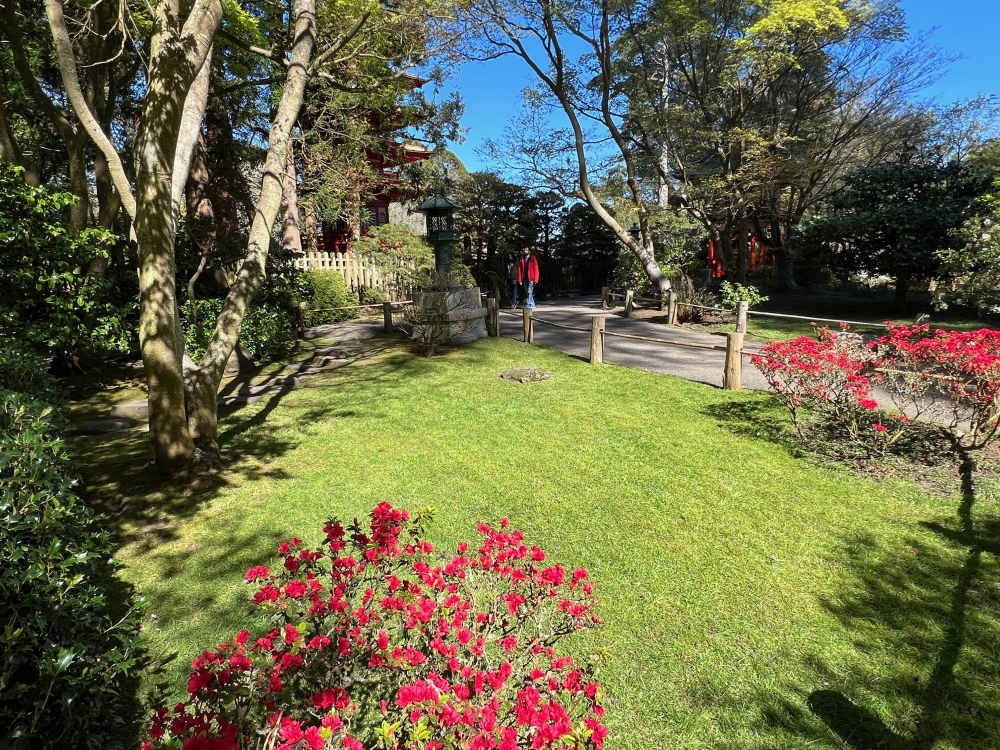 Golden Gate Park Tea Garden