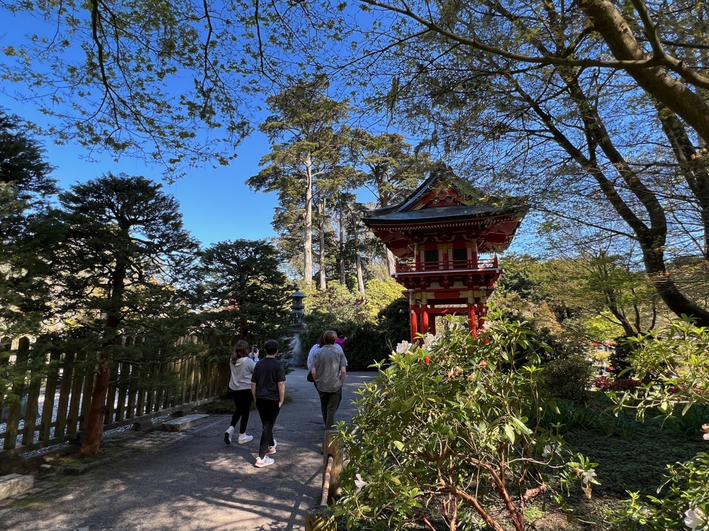 Golden Gate Park Tea Garden