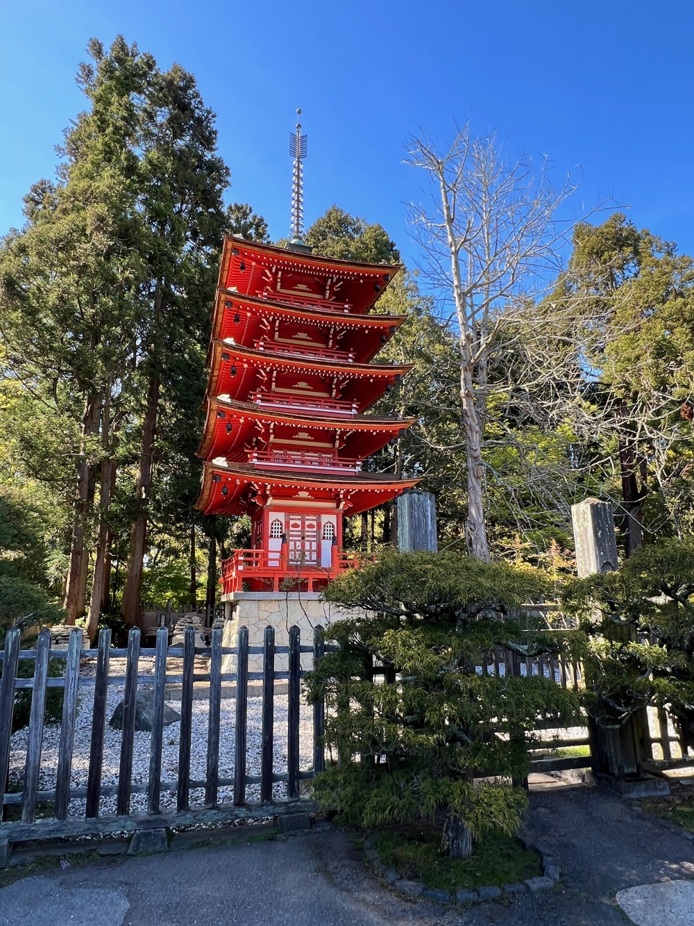 Golden Gate Park Tea Garden
