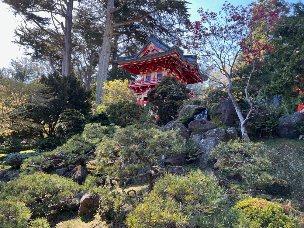 Golden Gate Park Tea Garden