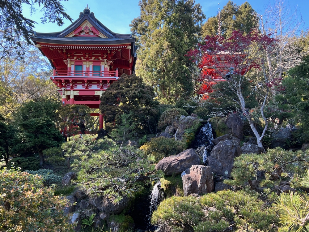 Golden Gate Park Tea Garden