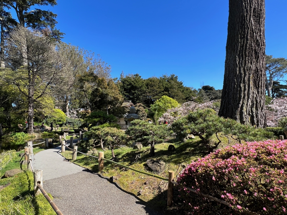 Golden Gate Park Tea Garden
