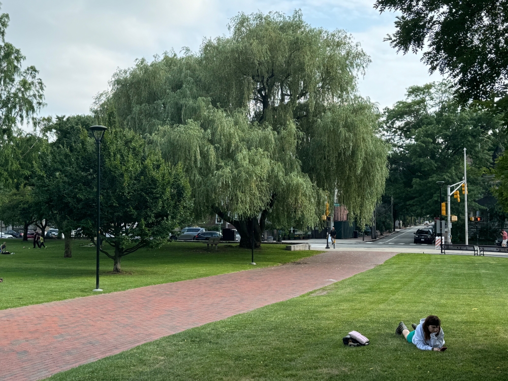 Harvard