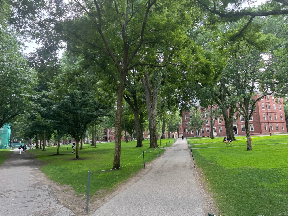 Harvard