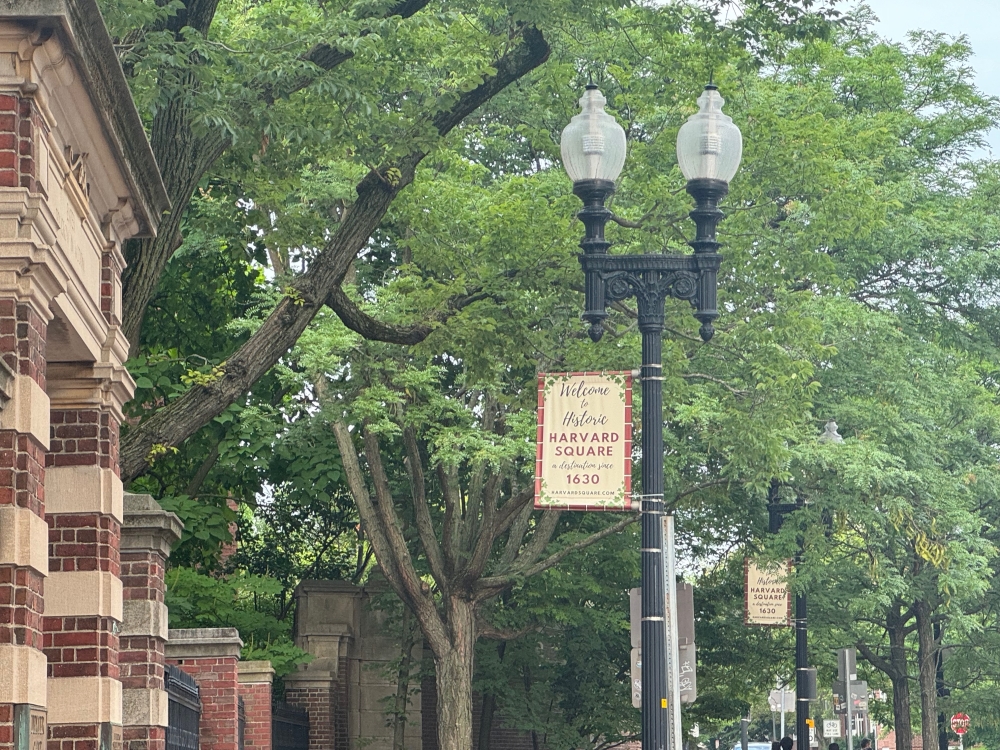 Harvard