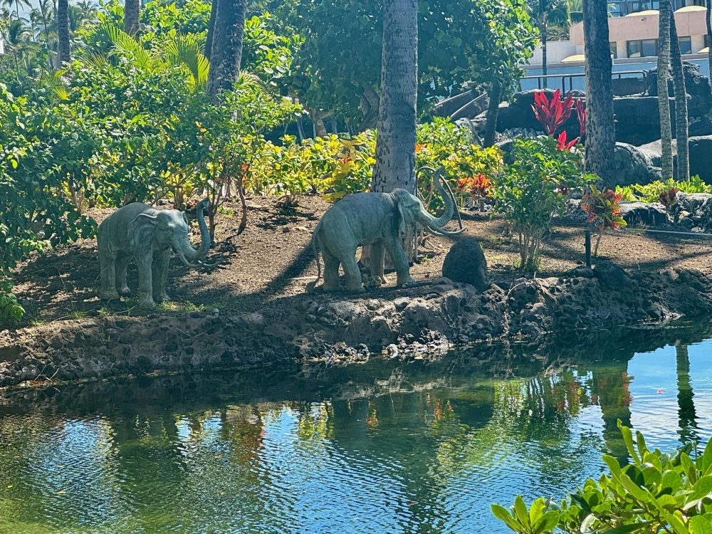 Hawaii