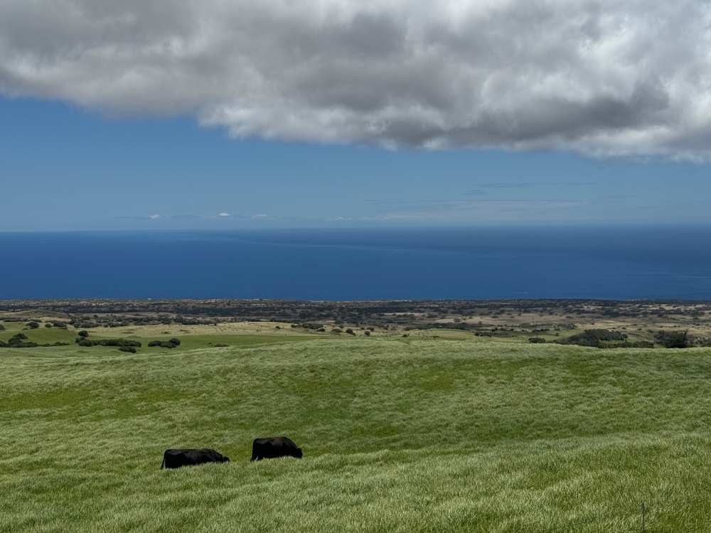 Hawaii