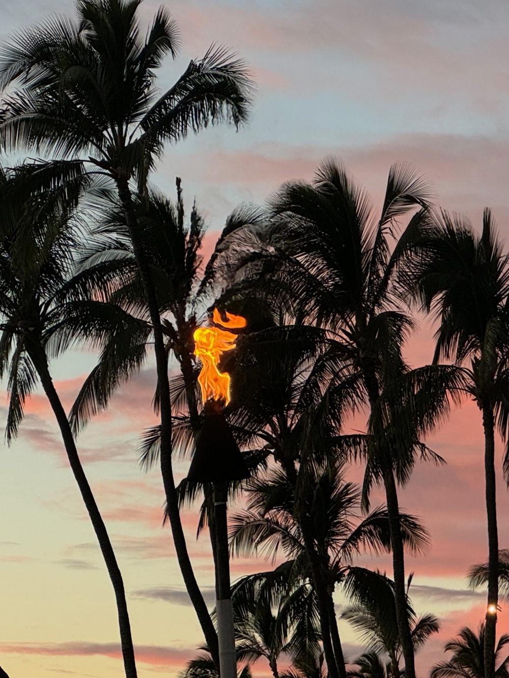 Hawaii