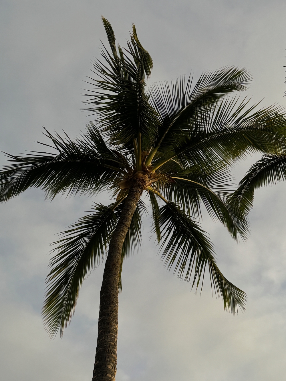 Hawaii
