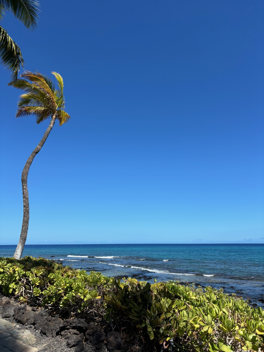 Hawaii
