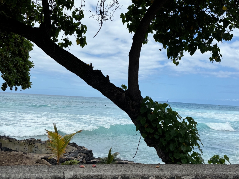 Hawaii