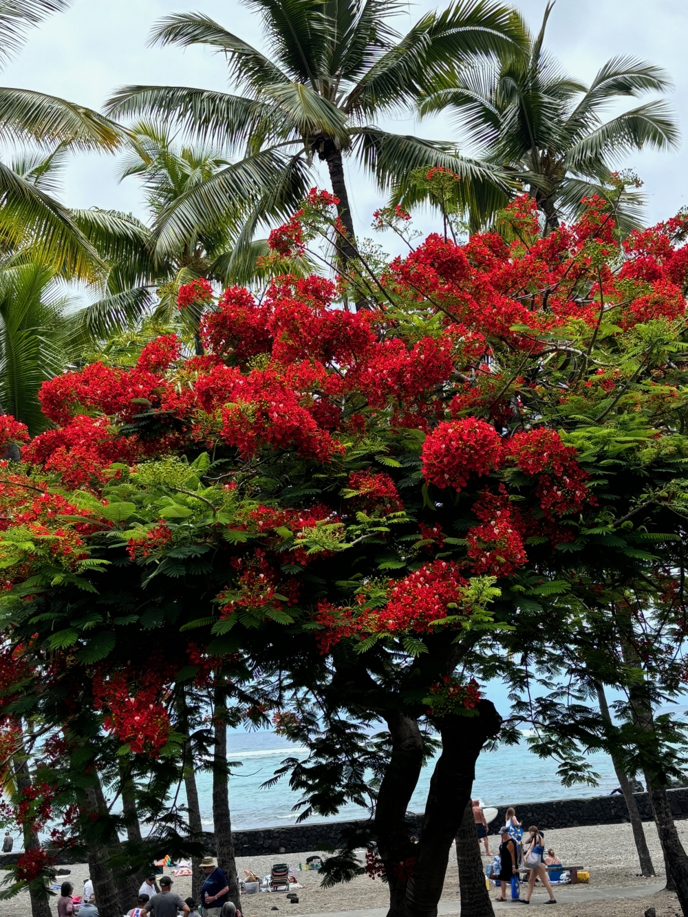 Hawaii