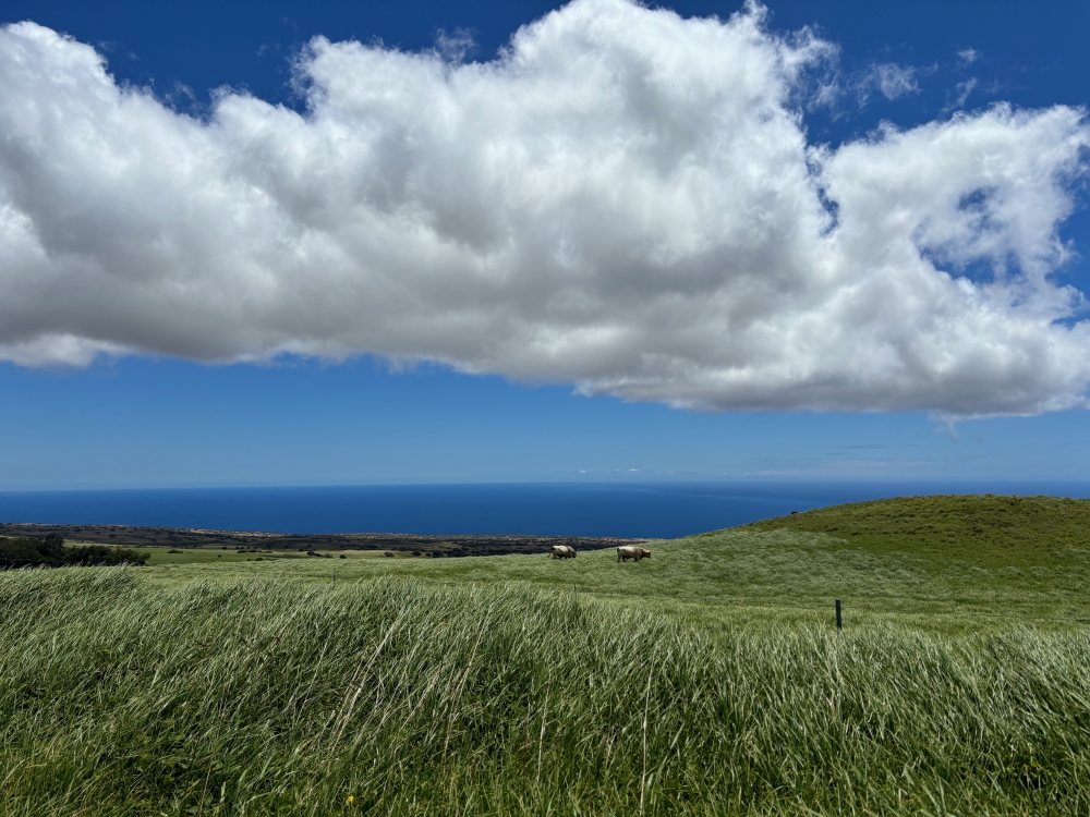 Hawaii