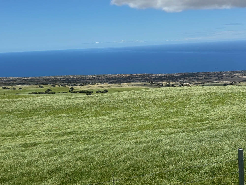 Hawaii